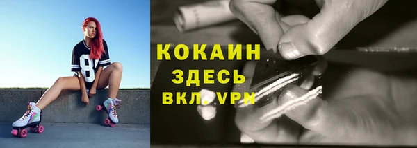 дурь Белокуриха